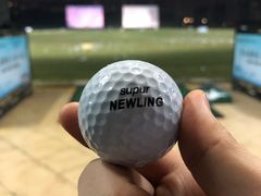 -广州冠景高尔夫练习场