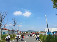 -光明小镇欢乐田园