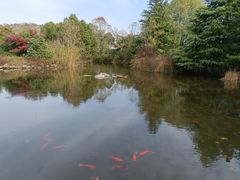 -白马涧龙池景区