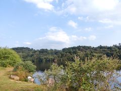 -南京市无想山景区