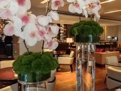 -万豪中餐厅·粤菜·北京粤财JW万豪酒店