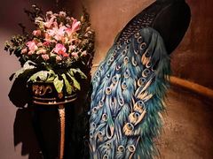 -弦月窗LUNETTE BY AMANDA(复兴路店)