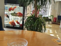 -花舍·新派粤菜·西餐·下午茶(亚运村·鸟巢店)