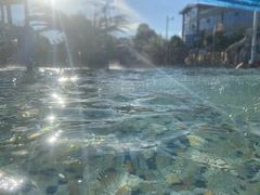 -青鱼湾水上乐园