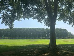 -河南省黄河迎宾馆