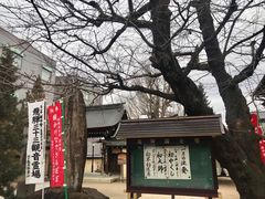-医王山·飞騨国分寺