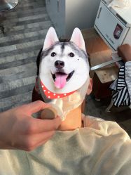 -纯剪男士理发馆·烫染专业店