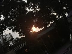 -成裕雪糕店(士多店)