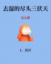 -Fundi张玉珊修身堂·indiba·BTL科技瘦身