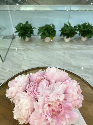 -Cocodemer产后恢复(杭大店)