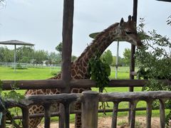 -南京金牛湖风景区