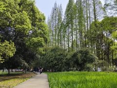 -花溪公园