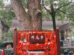 -火宫殿·湘菜小吃·商务宴请·生日聚会(东塘店)