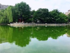 -莲湖公园