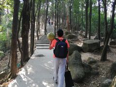 -火炉山森林公园