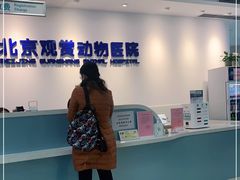 -北京观赏动物医院·24小时大型综合·猫专科·异宠专科