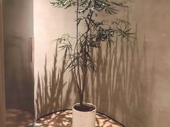 -二酉书店TOYOU BOOKS