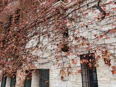 -华谊兄弟（长沙）电影小镇