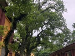 -桂林独秀峰王城景区