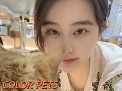 -COLOR PETS 撸猫馆·购猫·猫咖(长风大悦城店)