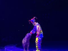 -珠海横琴长隆《卡卡虎奇遇记》