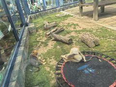 -大连森林动物园