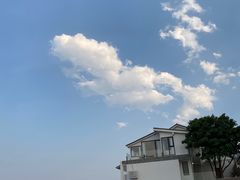 -猫米花园