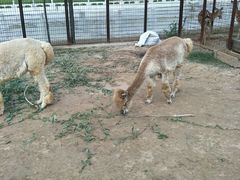 -山西乌金山旅游区