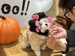 -开元商城(西旺店)