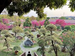 -盈香心动乐园