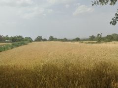 -长安上水缘度假庄园