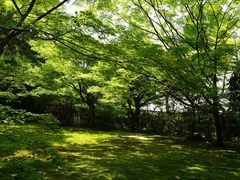 -三千院