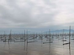 -北岐滩涂