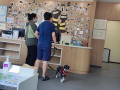 -爱妮康宠物医院·干细胞免疫细胞·肿瘤·心脏(张江店)