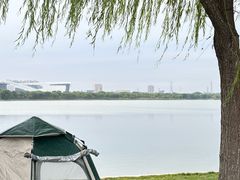 -象湖生态湿地公园