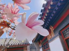 -国家大剧院