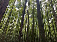 -山王坪喀斯特国家生态公园