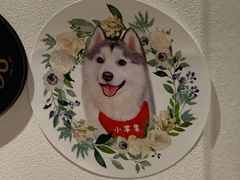 -Husky Go! 哈士奇体验馆·宠物咖啡厅狗咖