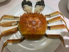 -新光酒家·河豚·海鲜·蟹料理(浦东店)