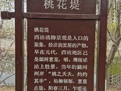 -桃花堤公园