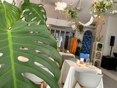 -春树下·树屋花房西餐厅(罍街AS1980店)