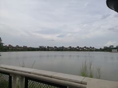 -美的鹭湖森林度假区