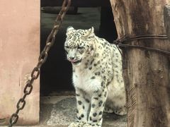 -青藏高原野生动物园