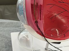 -武汉大学附属爱尔眼科医院(湖北总院)