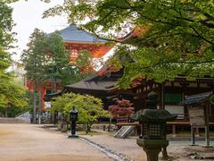 -成都濑川外国语学校