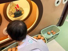 -杭州开元森泊度假乐园