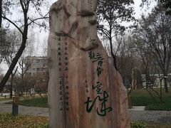 -唐城墙遗址公园