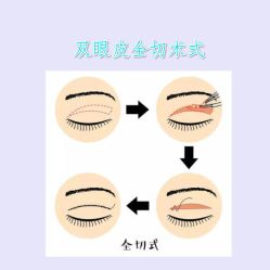 -ZELL·泽尔医疗美容