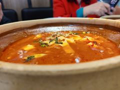 -洞庭家宴·头牌甲鱼(广渠门店)