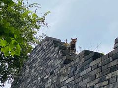 -相门城墙文化休闲景区